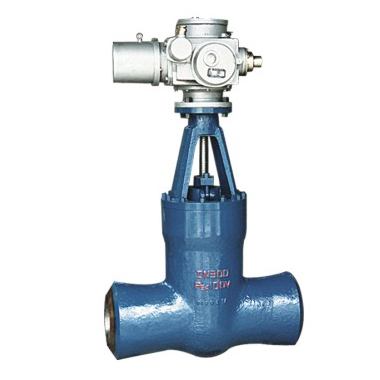 High temperature and high pressure power station gate valve
