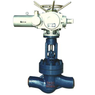 Power station valve