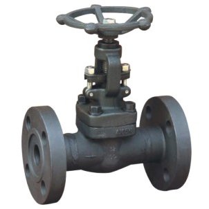 Forged steel globe valve