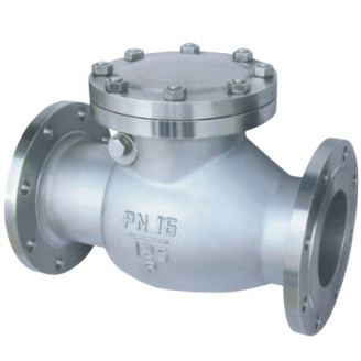 Swing check valves