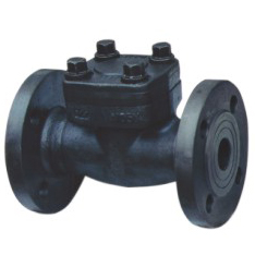 Forged steel check valve