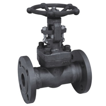 Forged steel gate valve